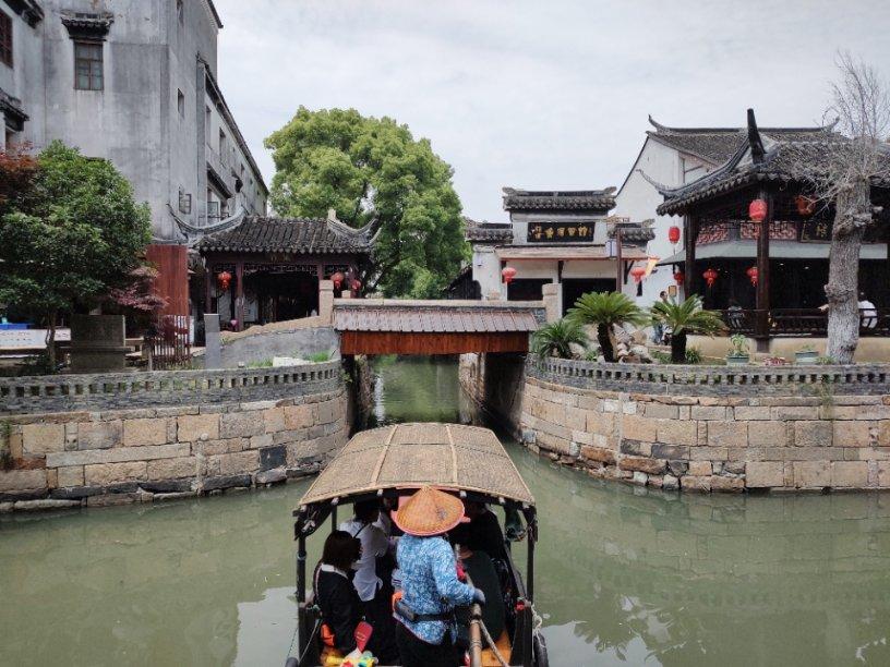 仓鼠不能吃什么食物？游戏画面