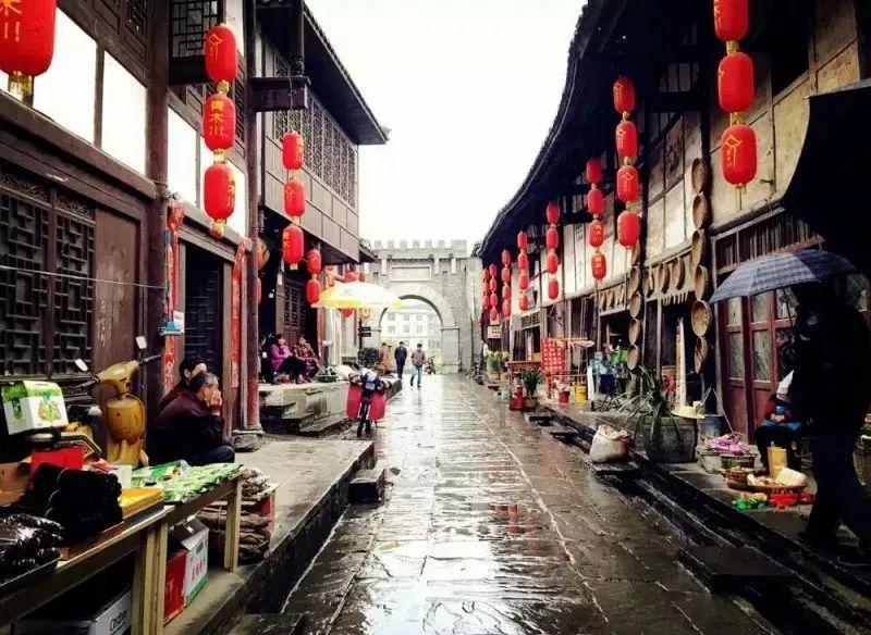 专业知识星球平台发达国家不想增加人口不想增加国力吗?,掌握更多知识!