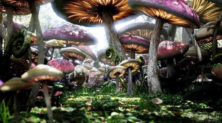 术后疤痕增生反复瘙痒还疯长!记住2个方法,在家就能轻松解决!
